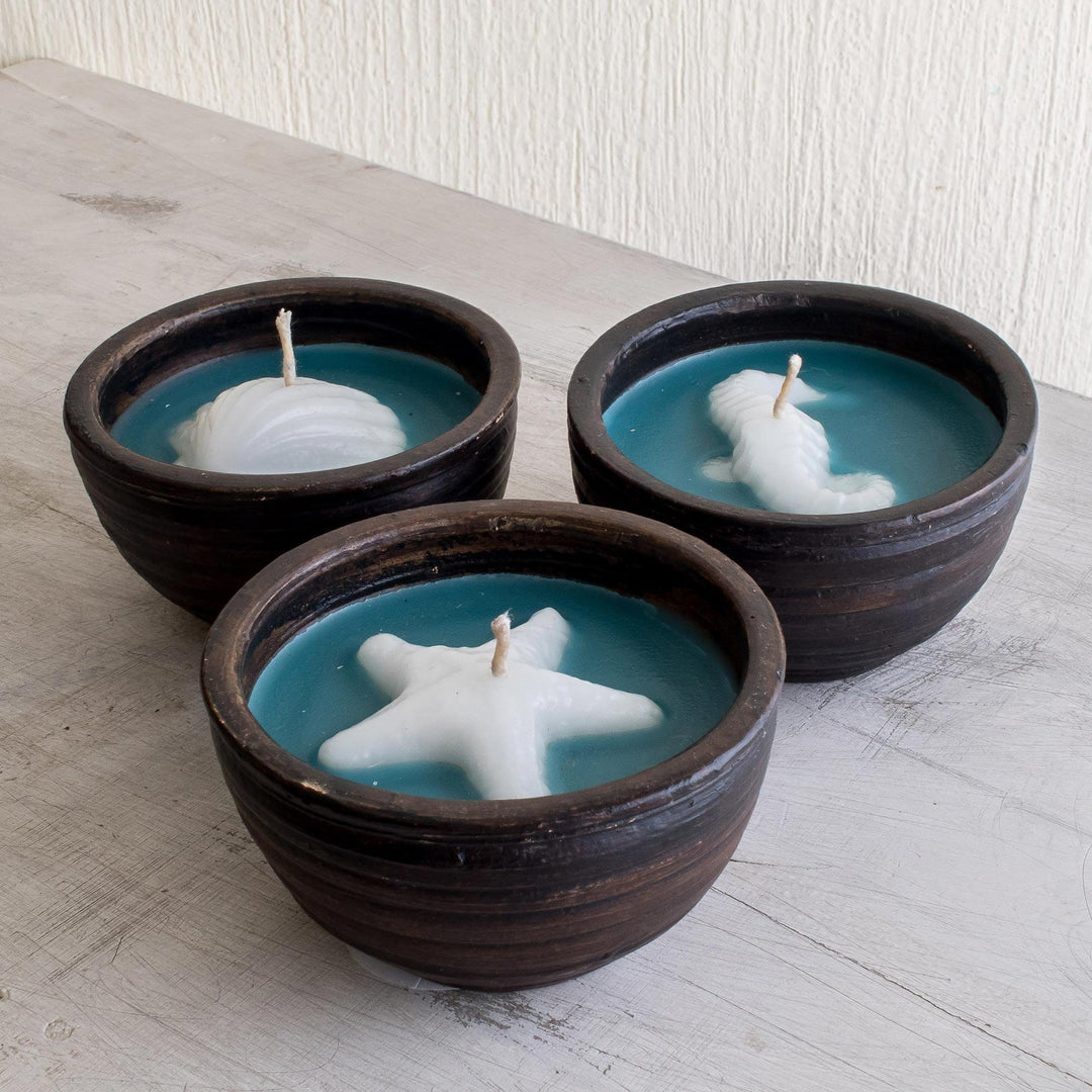 Ceramic Jar Filled Sealife Candle Set (Set of 3) - Sea Breeze