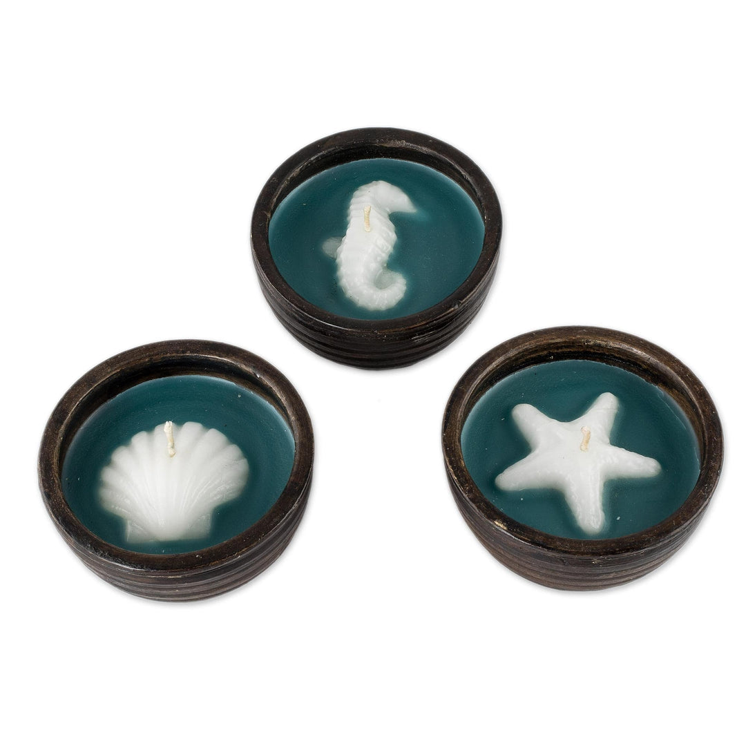 Ceramic Jar Filled Sealife Candle Set (Set of 3) - Sea Breeze