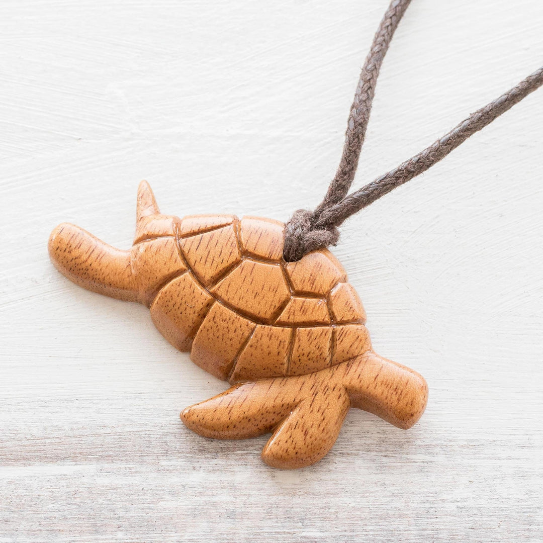 Turtle Time