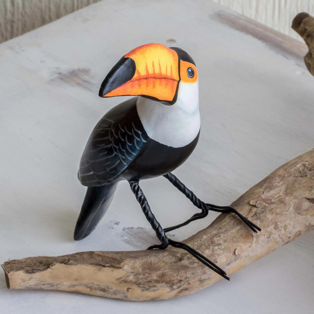 Toco Toucan