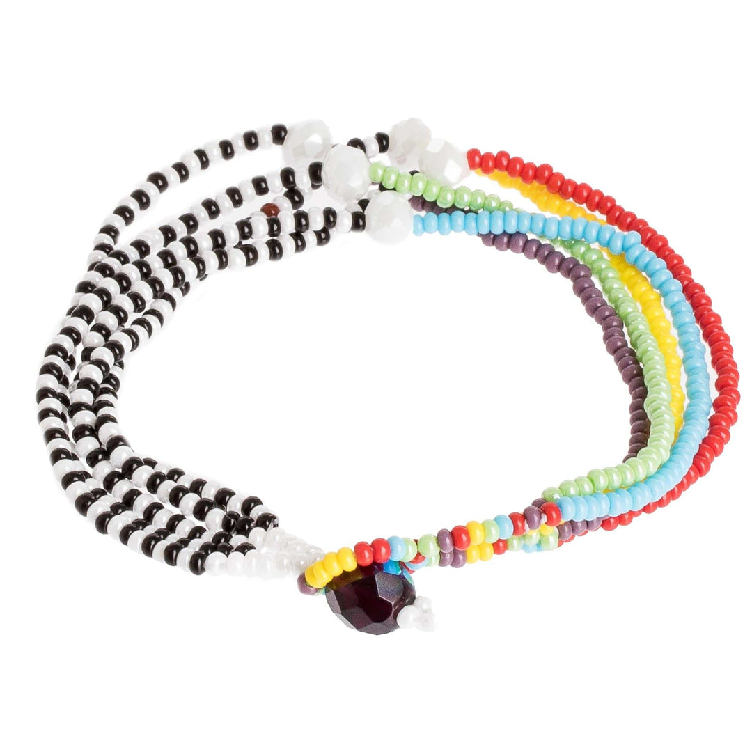 Rainbow Zebra