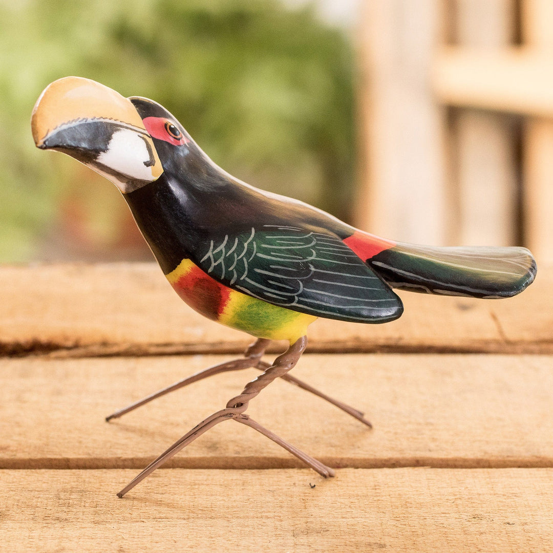 Aracari Toucan