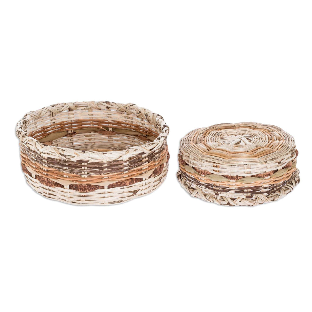 Handwoven Natural Fiber Baskets (Pair) - Petén Itza Pride