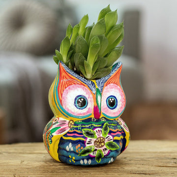 Herbaceous Owl