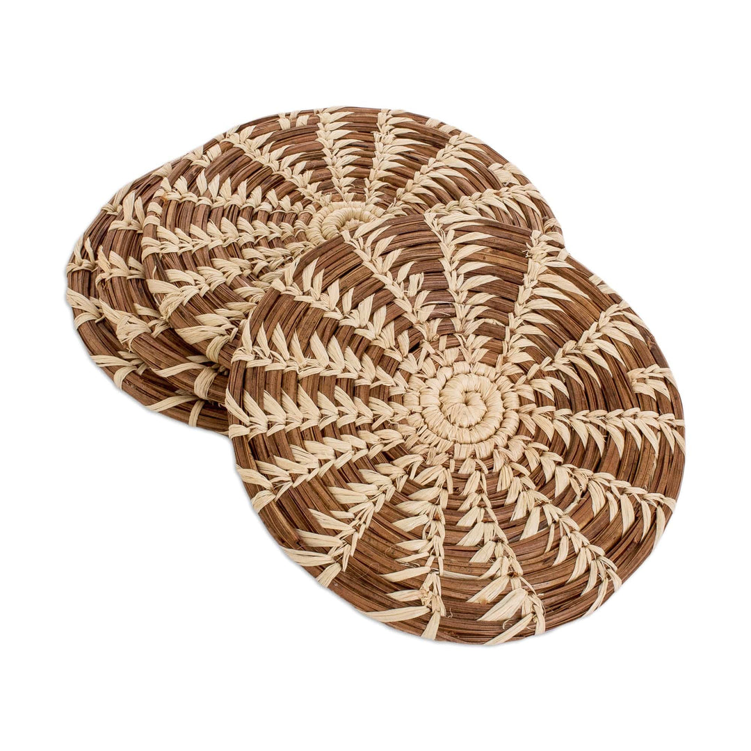 Woven Natural Fiber Coasters (Set of 4) - One Vision