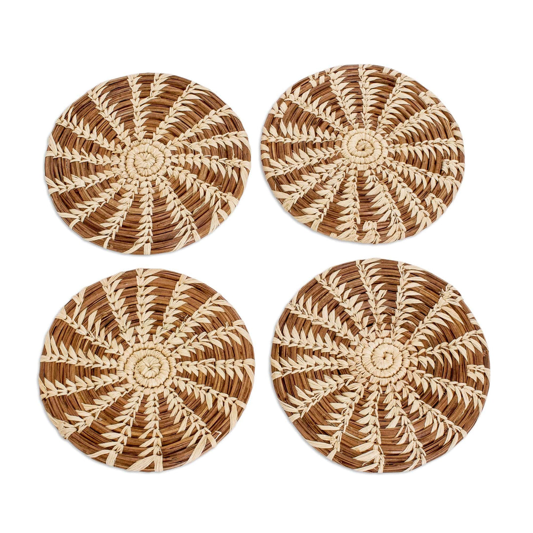 Woven Natural Fiber Coasters (Set of 4) - One Vision