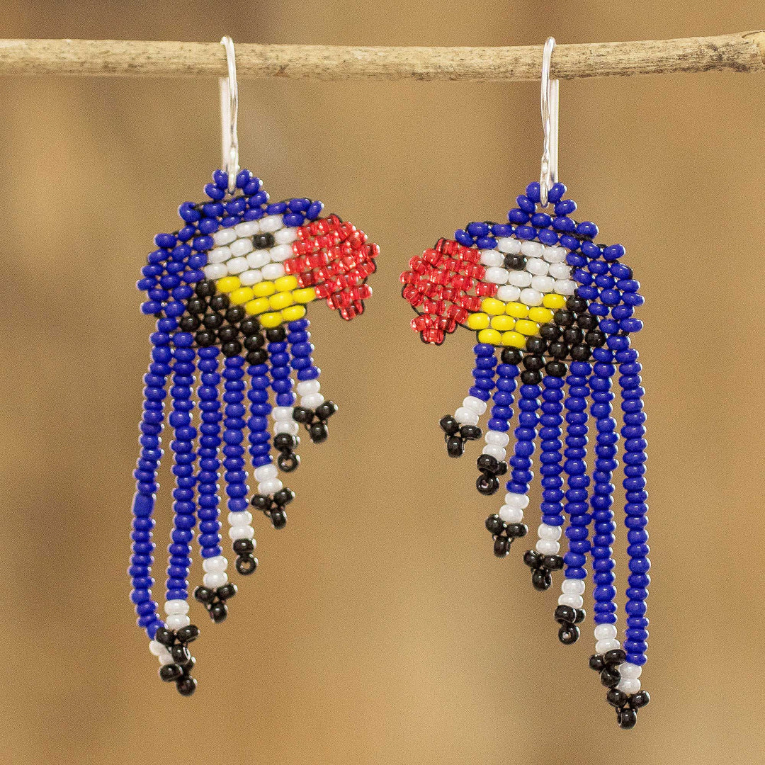 Macaws in Blue