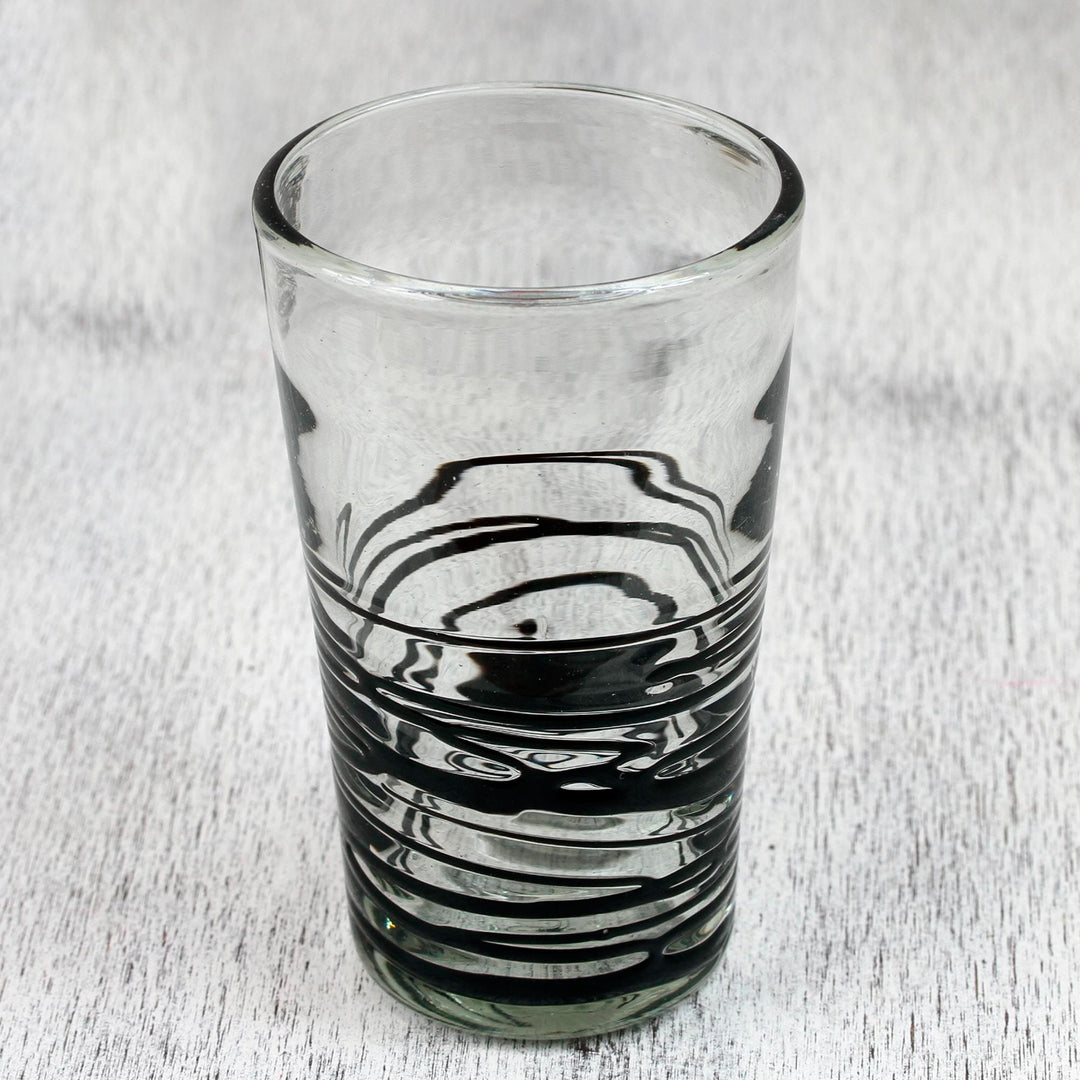 Set of 6 Hand Blown Black Spiral Glass Tumblers - Ebony Spin