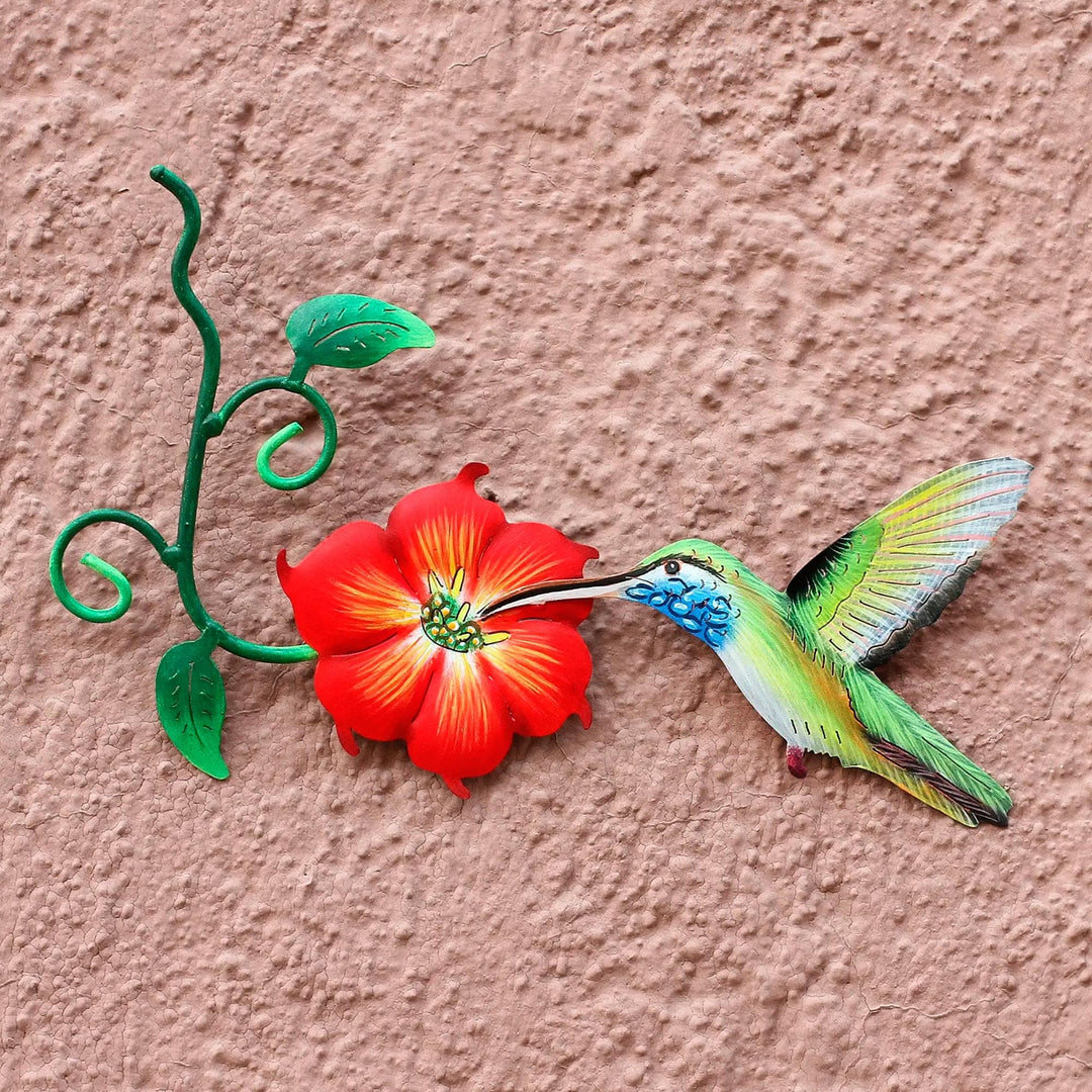 Colibri