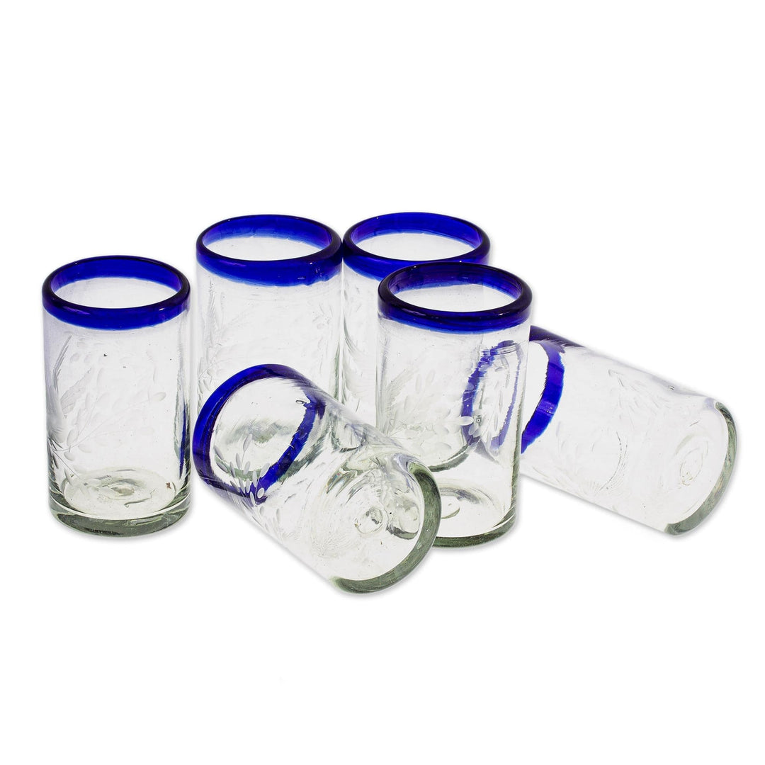 Clear Recycled Blown Glass Tumblers (Set of 6) - Paloma