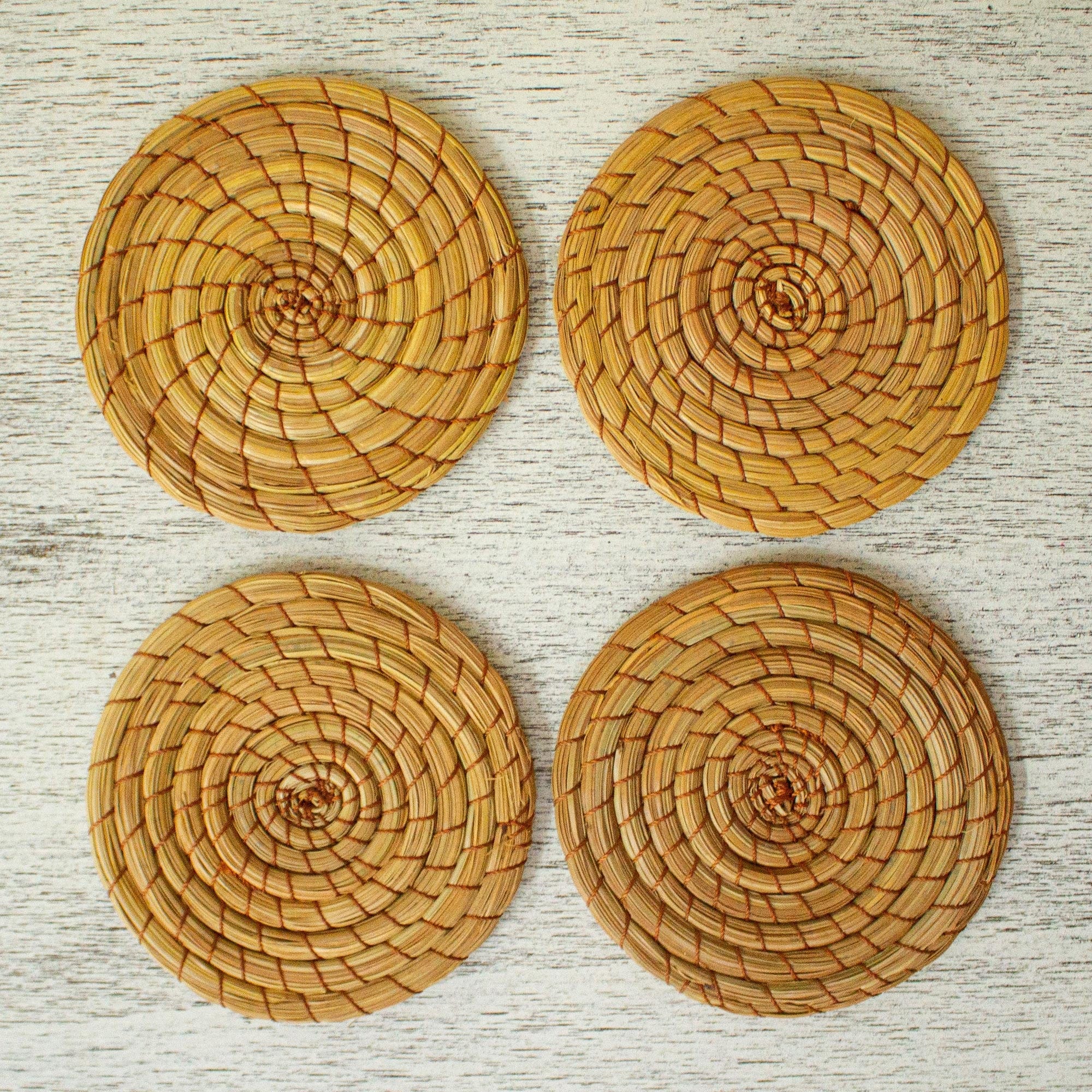 Natural Pine Needle Coasters (Set of 4) - Forest Cheer – GlobeIn