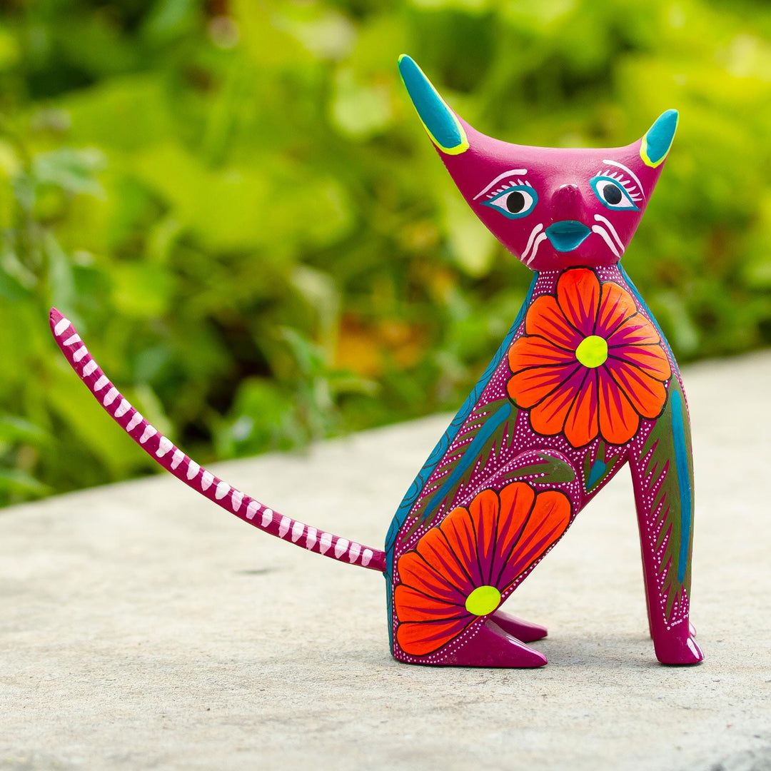 Quirky Cat