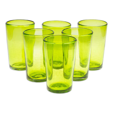 Set of 6 Handblown Recycled Glass Tumblers in Green - Refreshing Forest