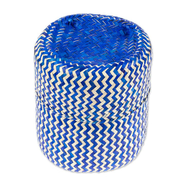 Blue Hand-Woven Palm Fiber Basket with Lid from Mexico - Tiger in Blue