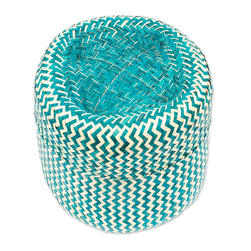 Green Basket with Lid Hand-Woven from Palm Fiber in Mexico - Tiger in Green