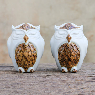 Calm Owls in White