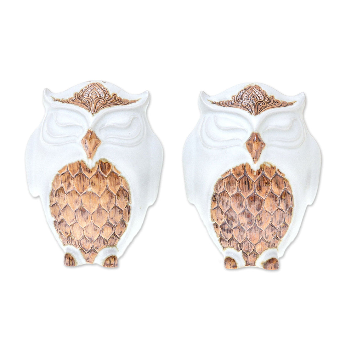 Ceramic Owl Salt and Pepper Shakers in White (Pair) - Calm Owls in White