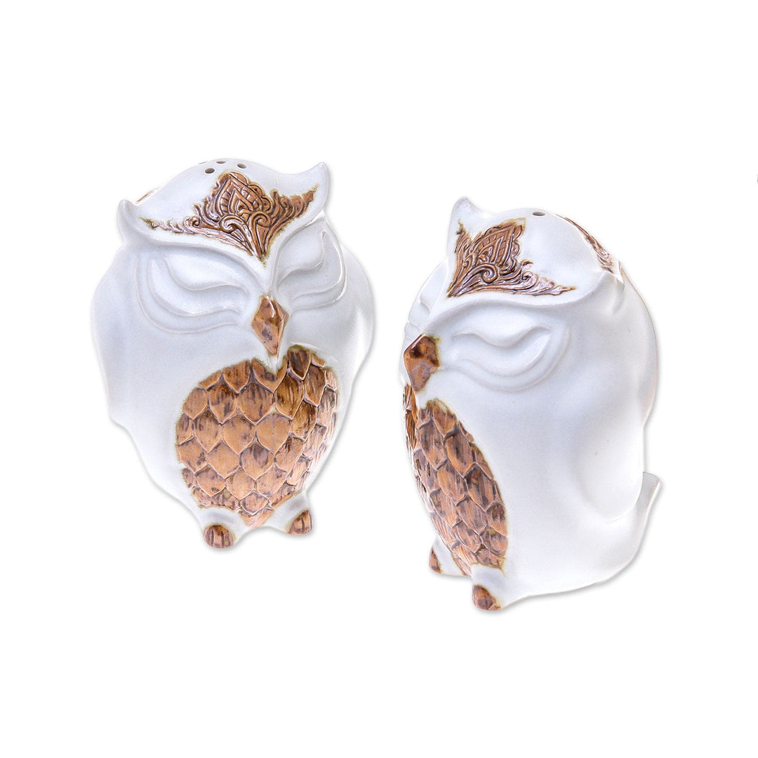 Ceramic Owl Salt and Pepper Shakers in White (Pair) - Calm Owls in White