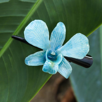 Blue Orchid Love