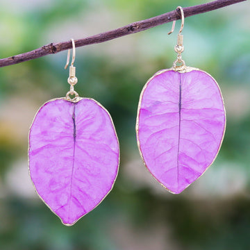 Bougainvillea Love in Purple